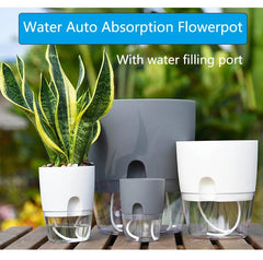 Self Watering Plant Pot