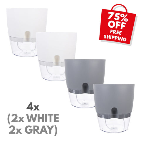 🎁set-4-2-white-2-gray-75-off