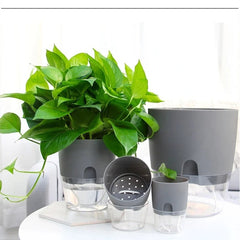 Self Watering Plant Pot